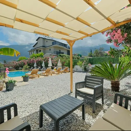 Tetra Clover Fethiye