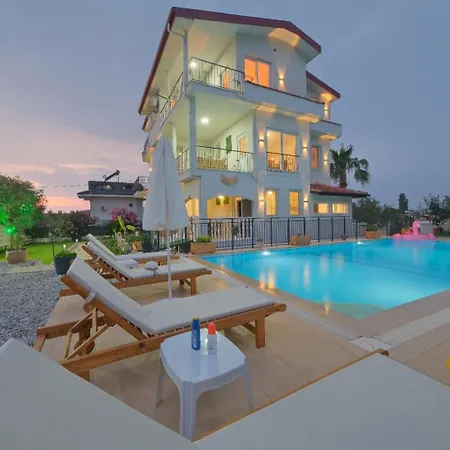 Tetra Clover Fethiye