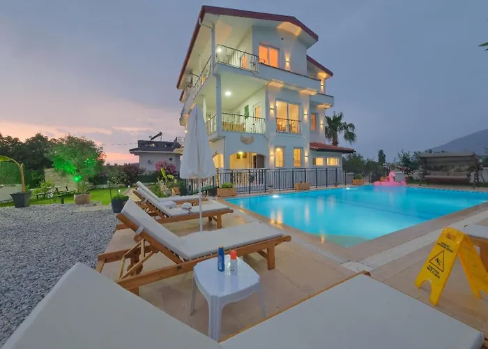 Tetra Clover Fethiye