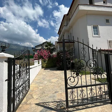 Tetra Clover Fethiye