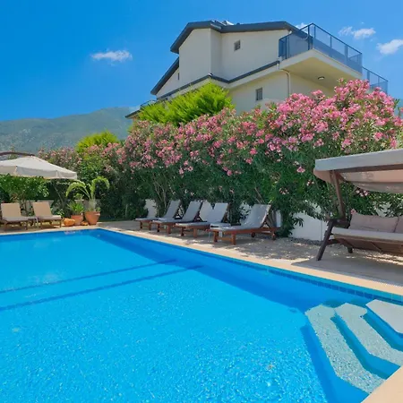 Tetra Clover * Fethiye