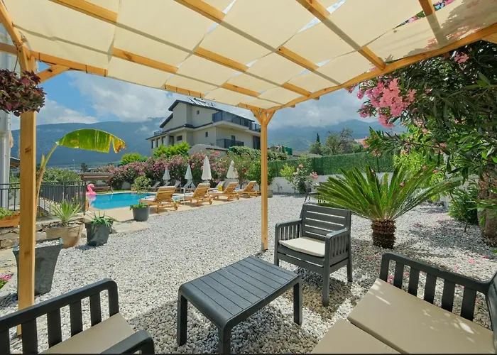 Tetra Clover Fethiye