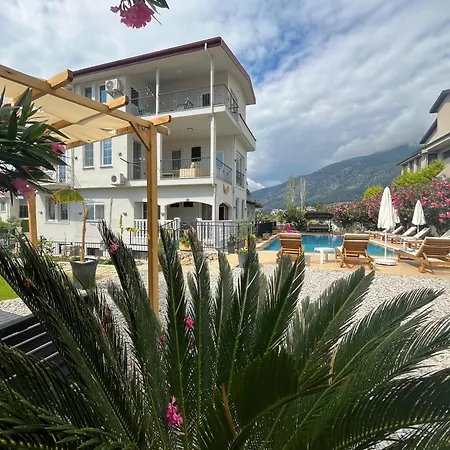 Tetra Clover Fethiye