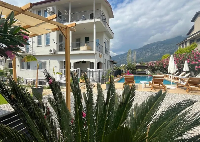 Tetra Clover Fethiye